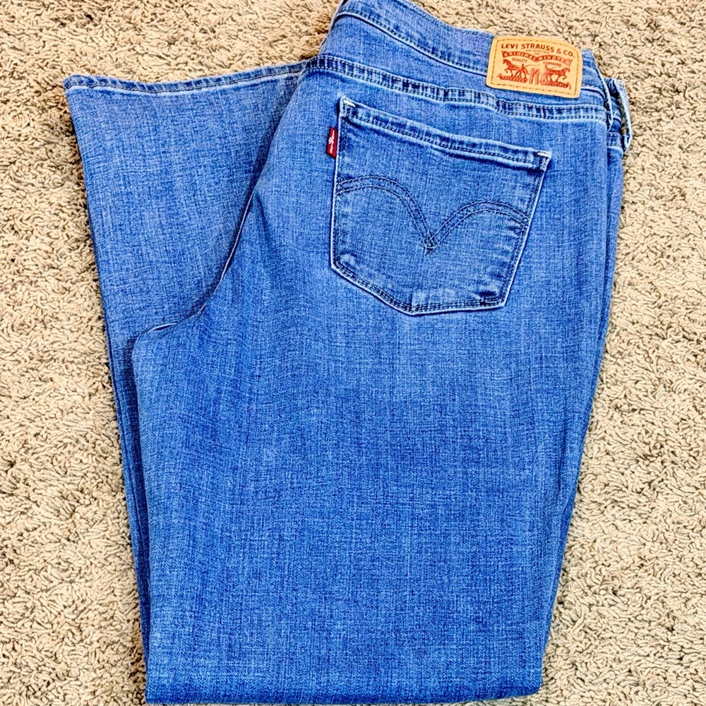 Levi’s 505 Straight Women’s Jeans Size 12 W31 L30
